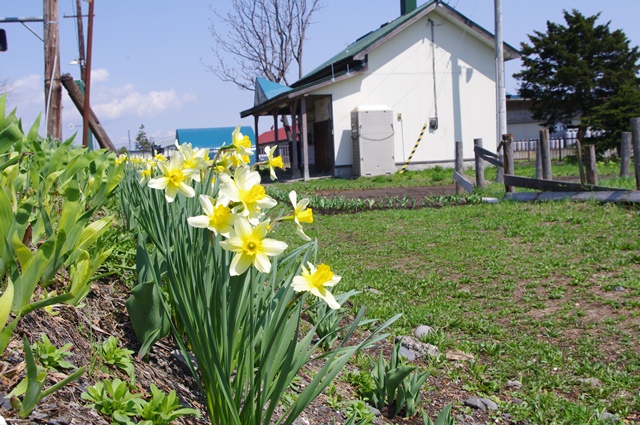 新十津川駅