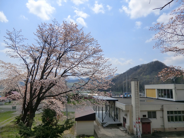 吉野小学校