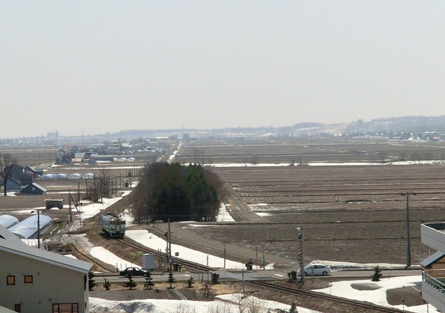 新十津川　白鳥