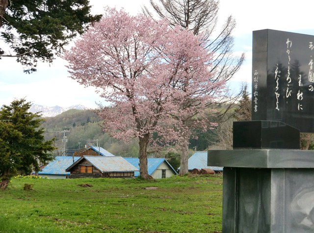 学園小学校跡