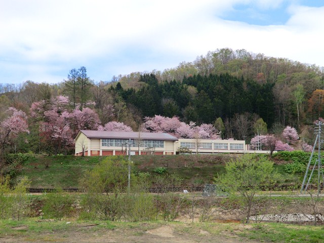 吉野小学校
