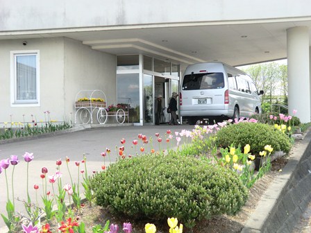 菜の花見学ツアー