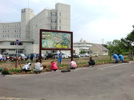 花植え