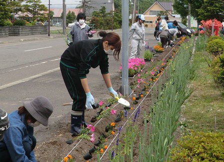 花植え